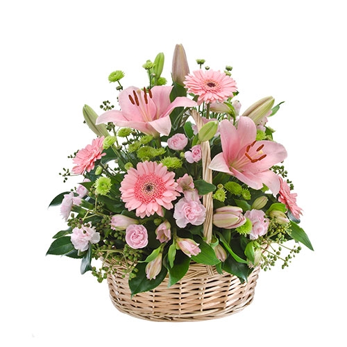 Sympathy Basket S19