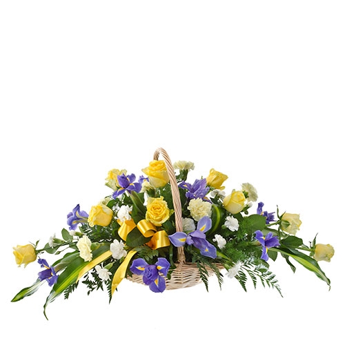 Sympathy basket S18