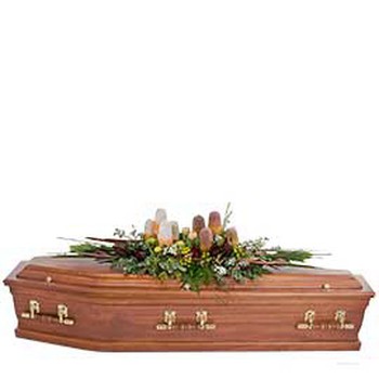Native Casket Modern Display