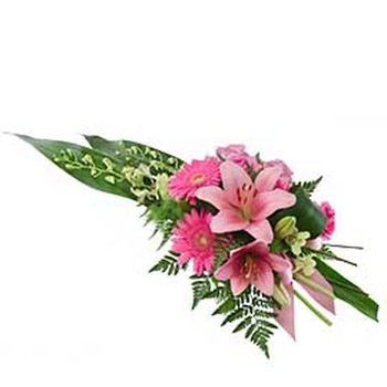 Sympathy Spray F1