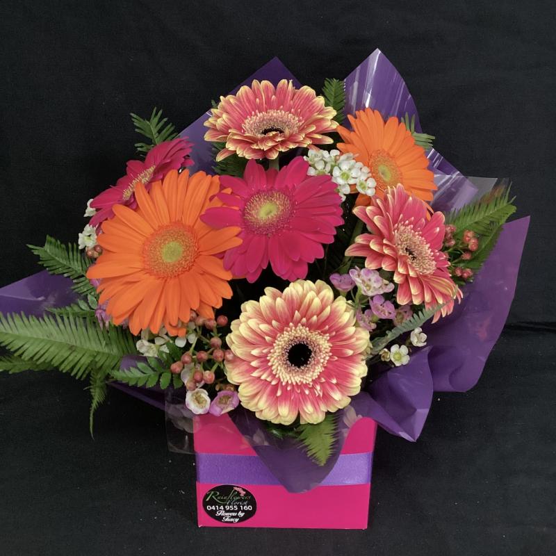 Gerbera Boxed Display