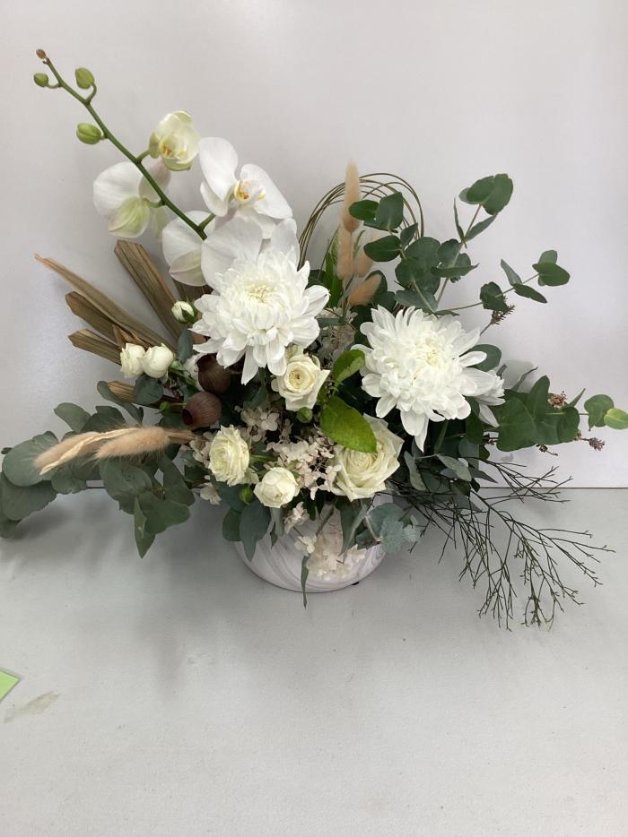 White bloom display