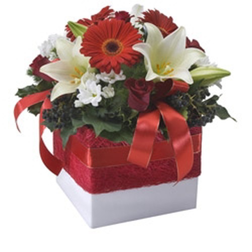 Noel Arrangement CF1