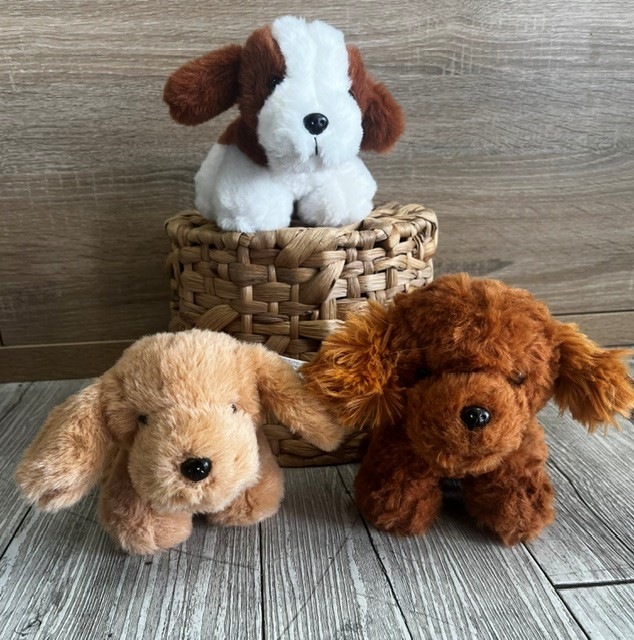 Toy puppy