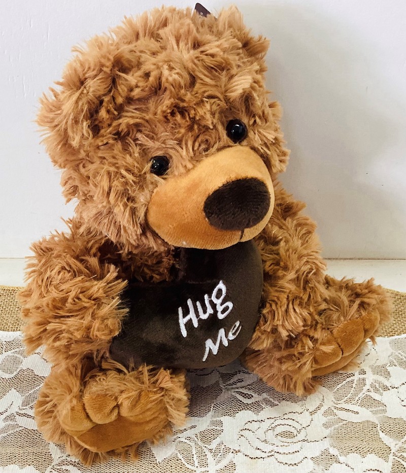 Toy 8 Hug me Bear