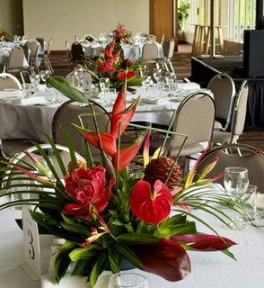 Tropical Displays