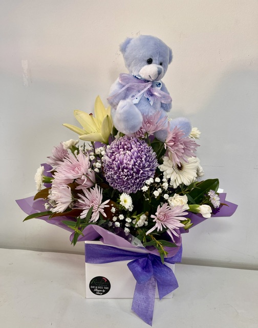 Baby Boy display with Teddy