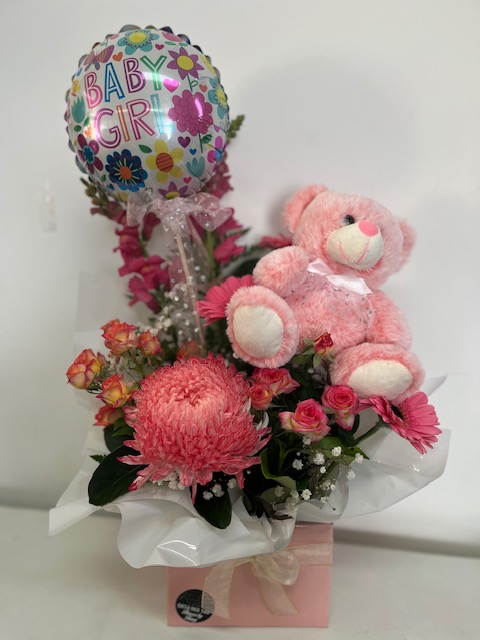 Baby girl display balloon and teddy
