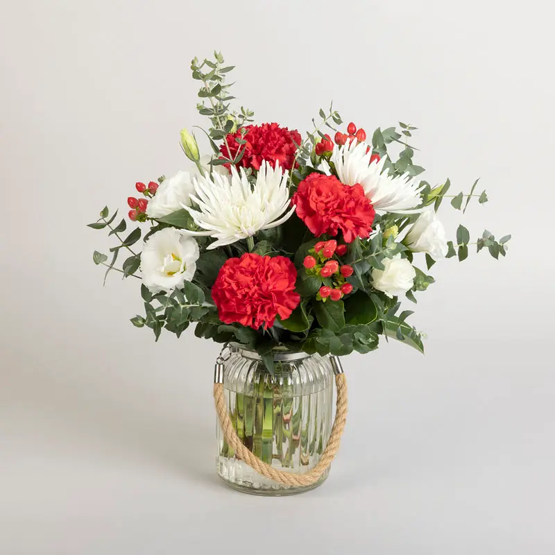 Christmas Pot Display