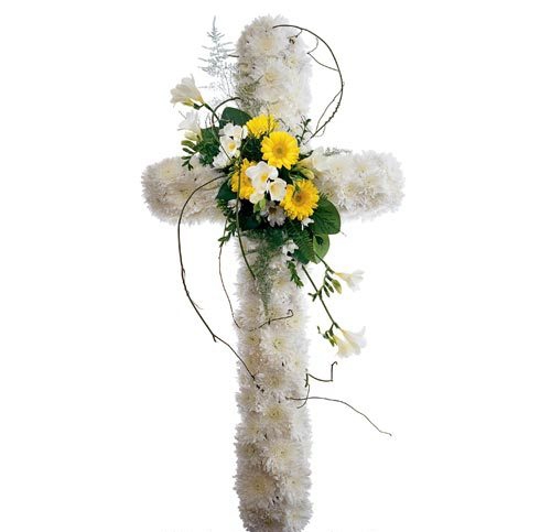 Cross F14