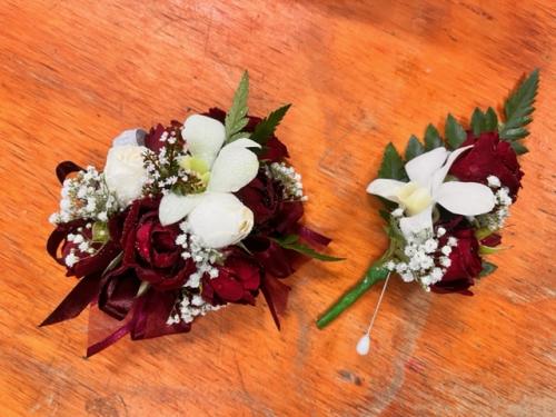 Red and white Roses Orchid No 3