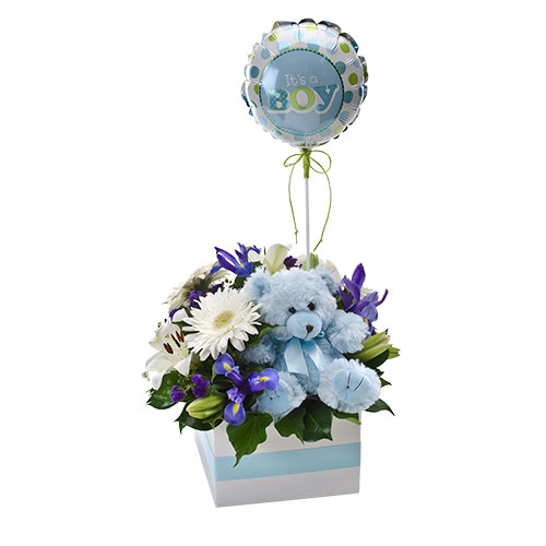 Baby Boy Display Toy and Balloon