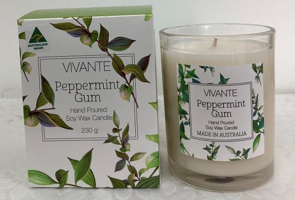 Scented Candle Peppermint Gum