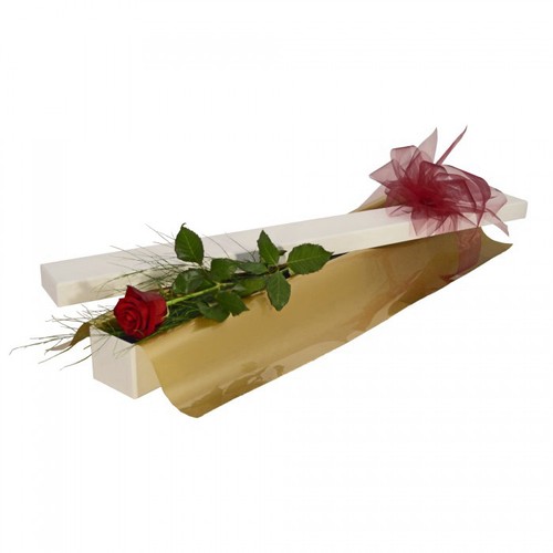 Single Rose in Box